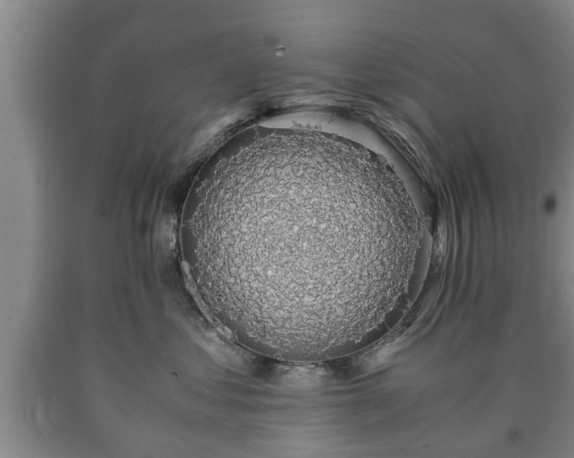 X0000090700621200707271110