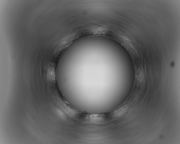 X0000090700622200707271110