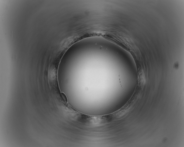 X0000090700623200707271110