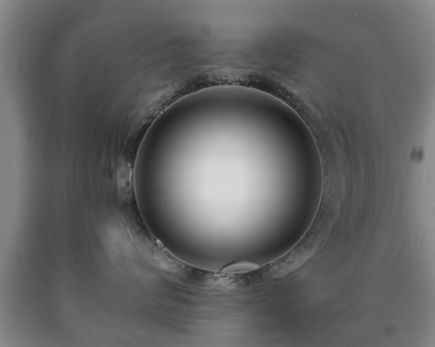 X0000090700624200707271110