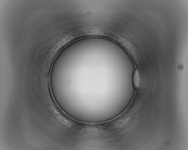 X0000090700625200707271109