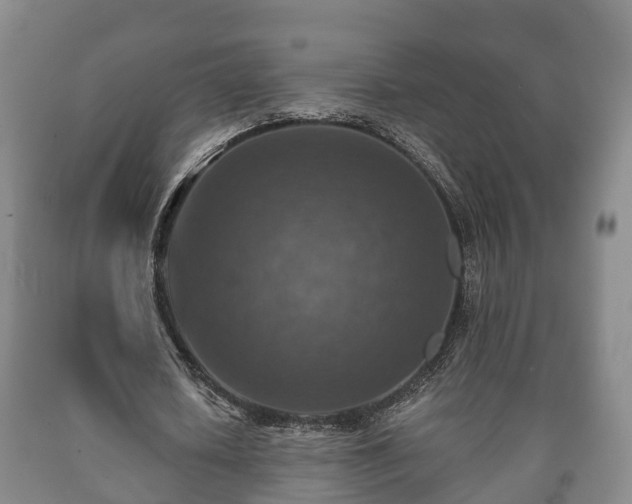 X0000090700626200707271109