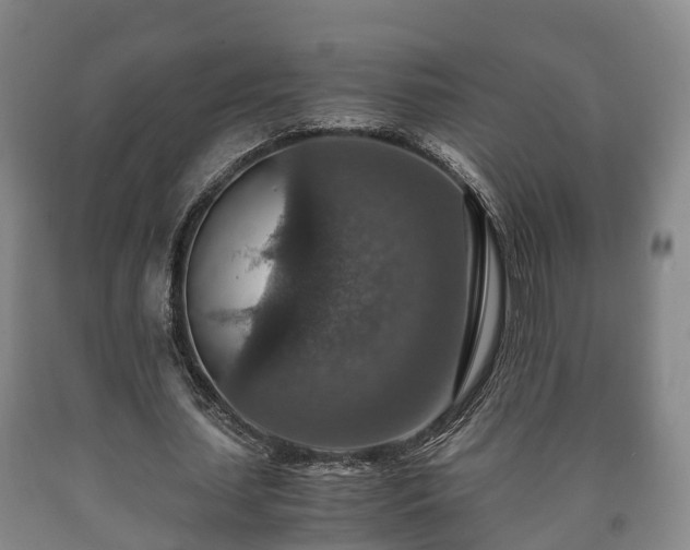 X0000090700627200707271109