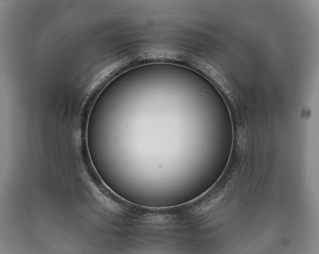 X0000090700629200707271109