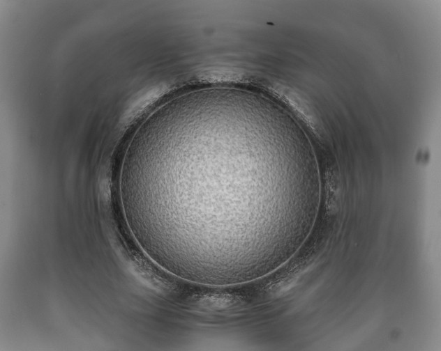 X0000090700631200707271109