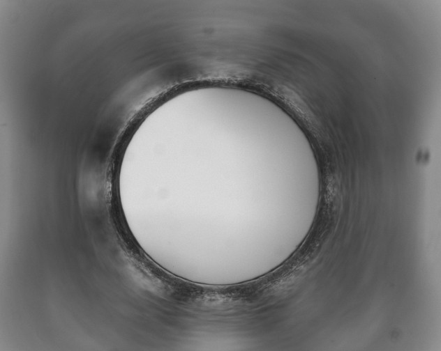 X0000090700632200707271109