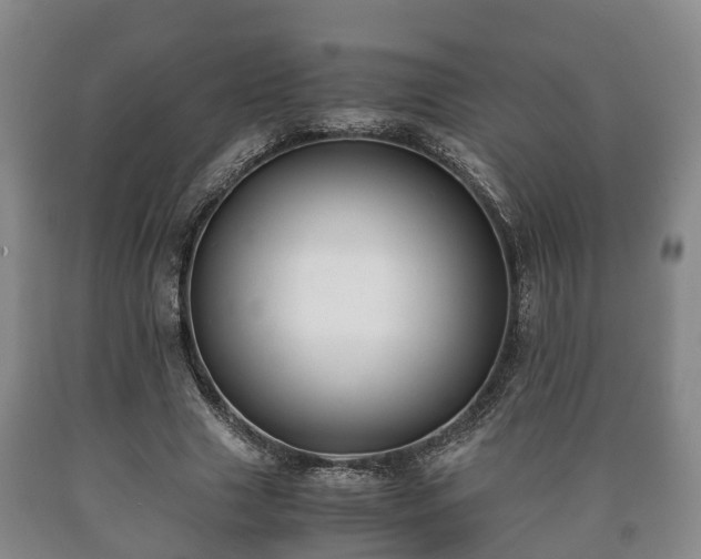 X0000090700633200707271109