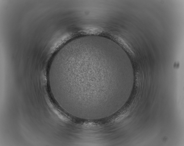 X0000090700634200707271109