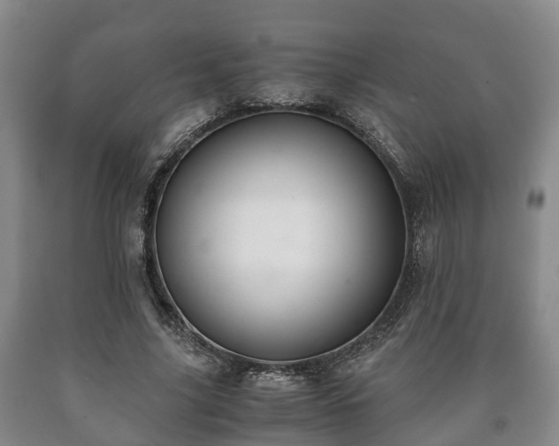 X0000090700635200707271109