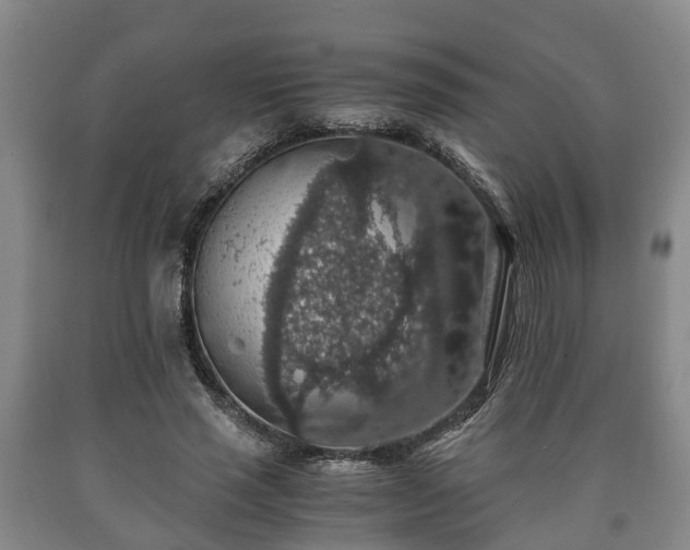 X0000090700637200707271109