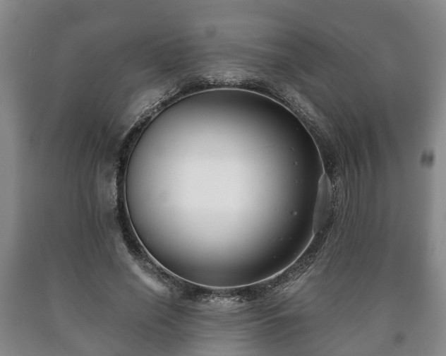 X0000090700638200707271109