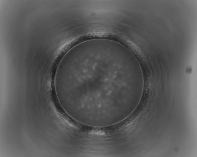 X0000090700640200707271109