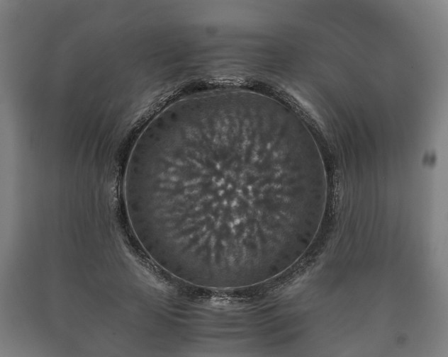 X0000090700641200707271109