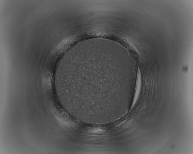 X0000090700643200707271109