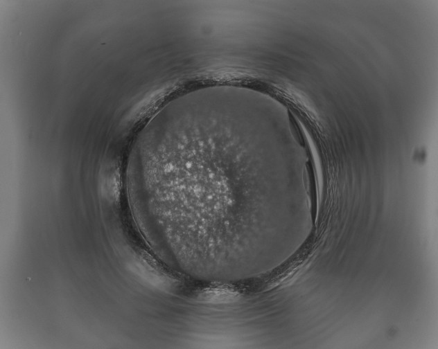 X0000090700644200707271110