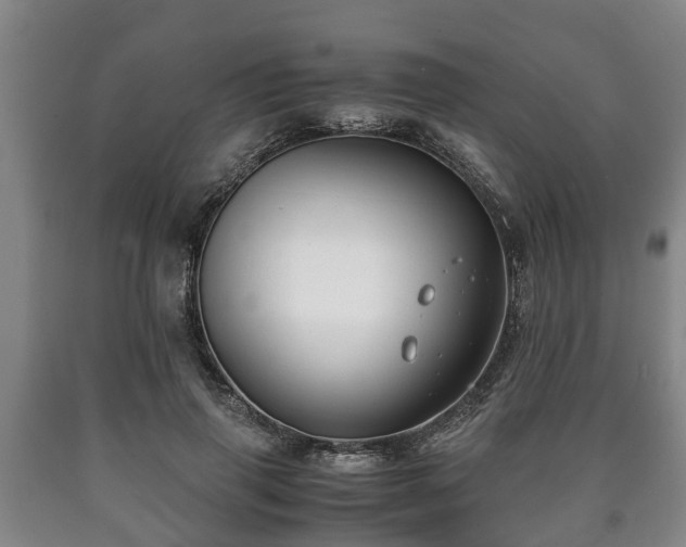 X0000090700645200707271110