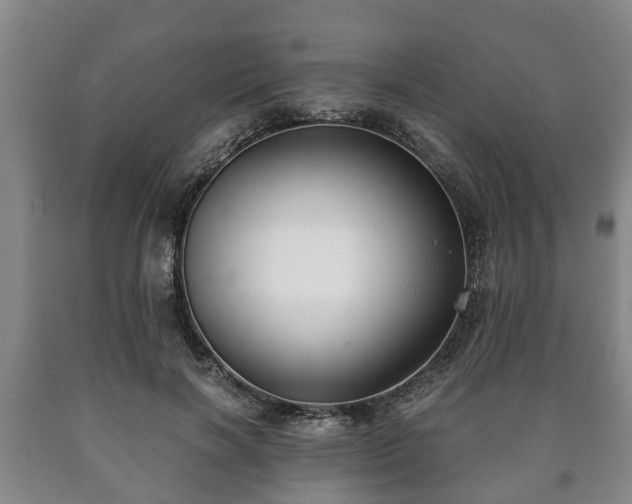 X0000090700646200707271110