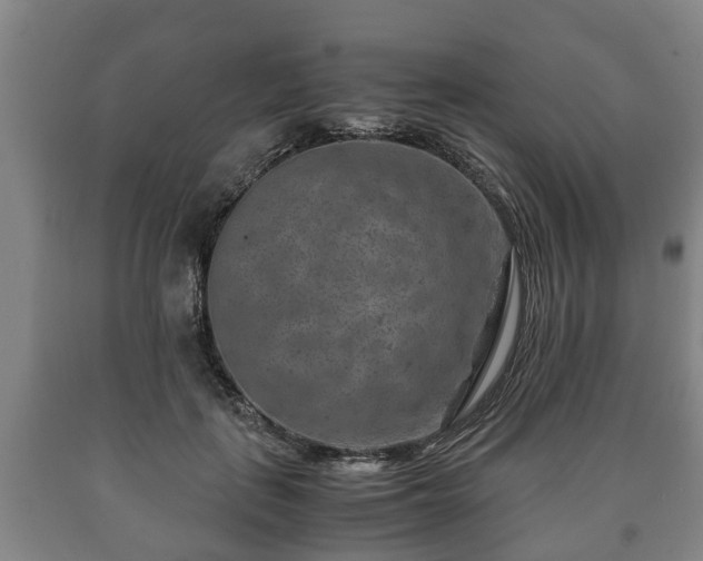 X0000090700651200707271110