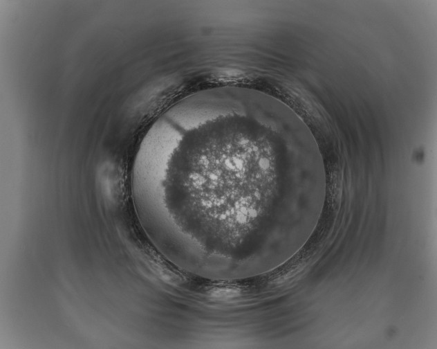 X0000090700653200707271110