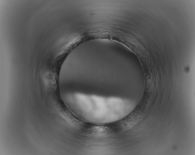 X0000090700654200707271110