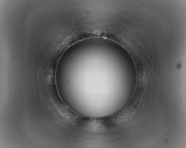 X0000090700656200707271110