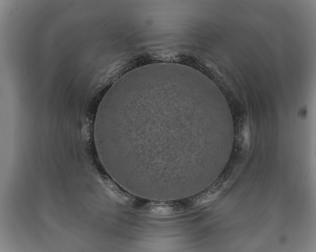 X0000090700658200707271110