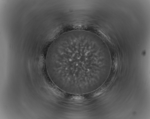 X0000090700659200707271110