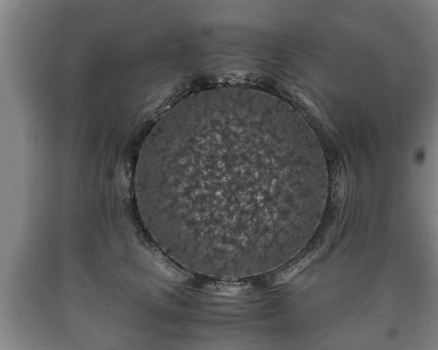 X0000090700661200707271110