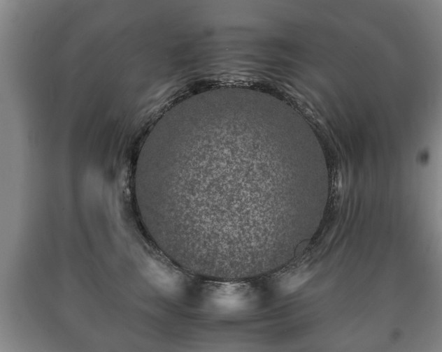 X0000090700663200707271110