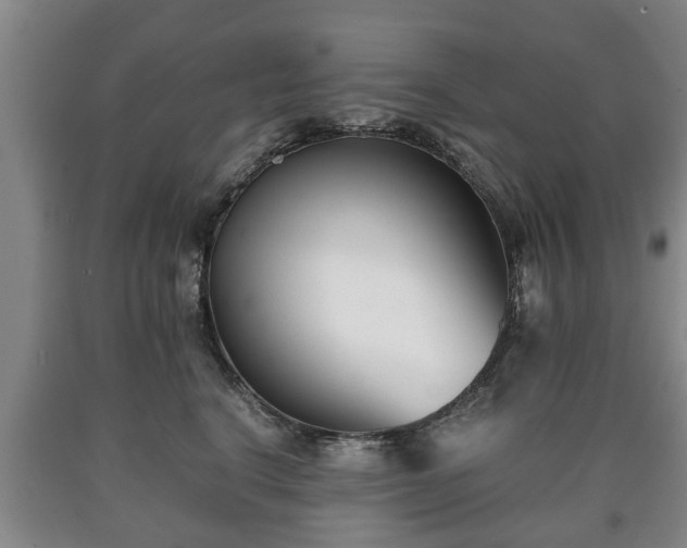 X0000090700664200707271110