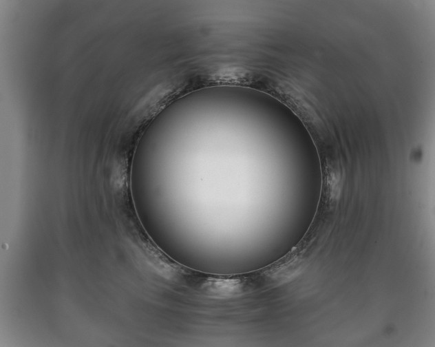 X0000090700665200707271110