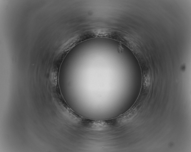 X0000090700666200707271110