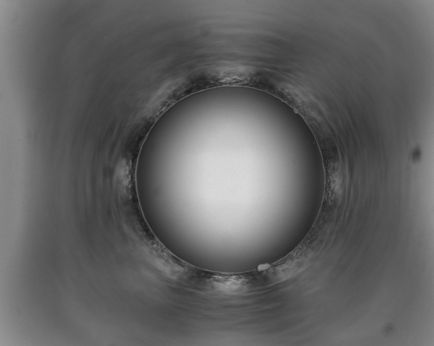 X0000090700667200707271110