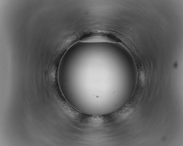 X0000090700668200707271110