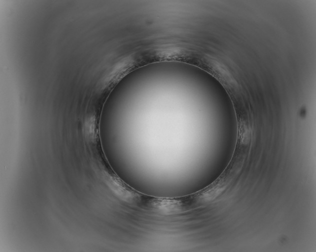 X0000090700670200707271110