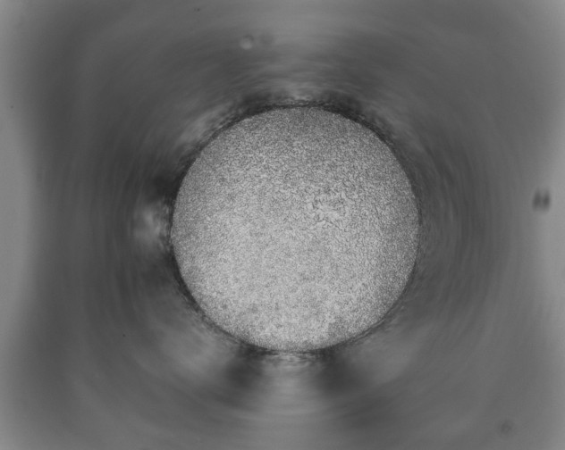 X0000090700672200707271110