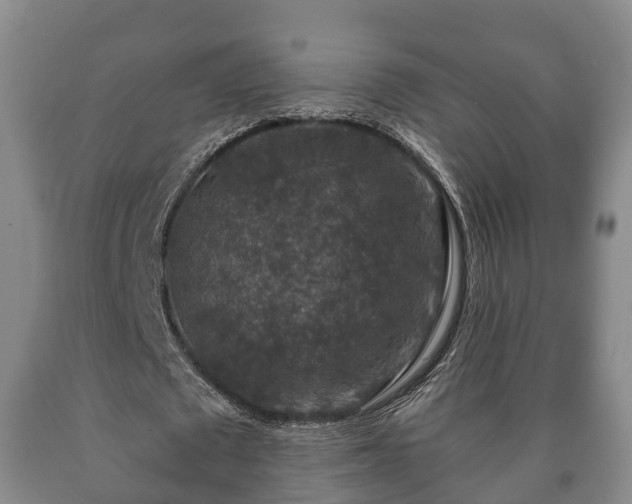 X0000090700673200707271109