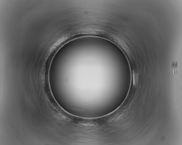 X0000090700675200707271109