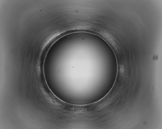 X0000090700676200707271109