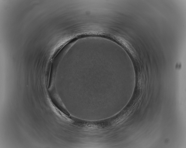 X0000090700677200707271109