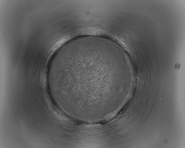 X0000090700679200707271109