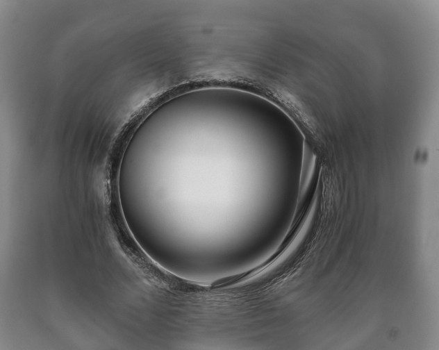 X0000090700680200707271109