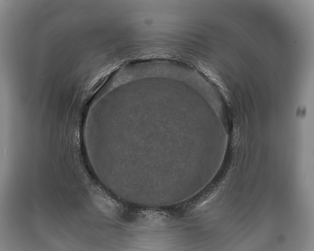 X0000090700681200707271109