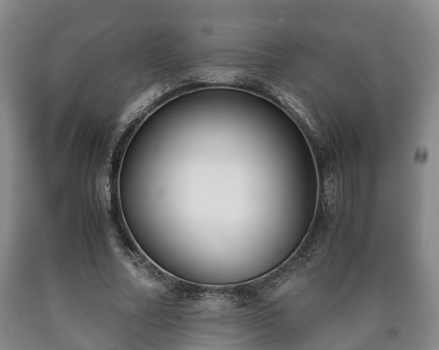 X0000090700682200707271109