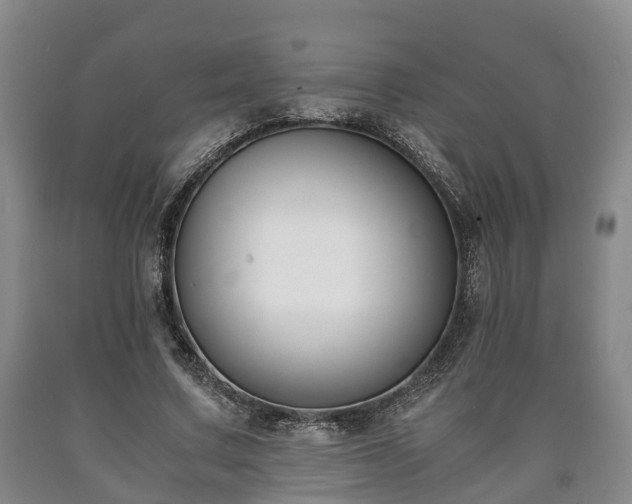 X0000090700683200707271109