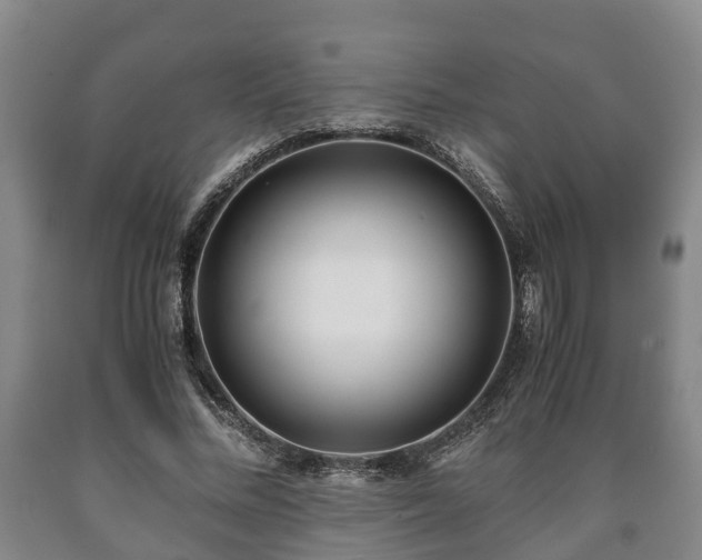 X0000090700684200707271109