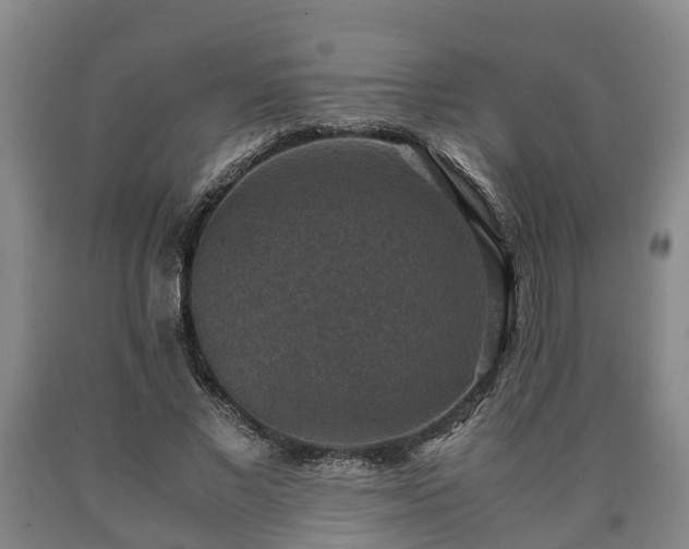 X0000090700685200707271109