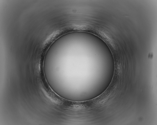 X0000090700686200707271109