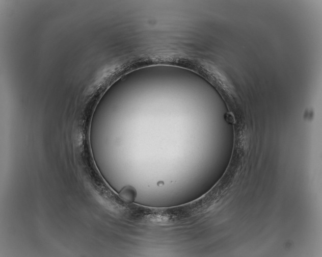 X0000090700687200707271109