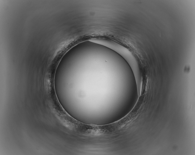 X0000090700688200707271109